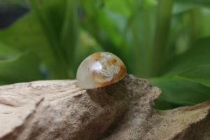 batu akik murni asih